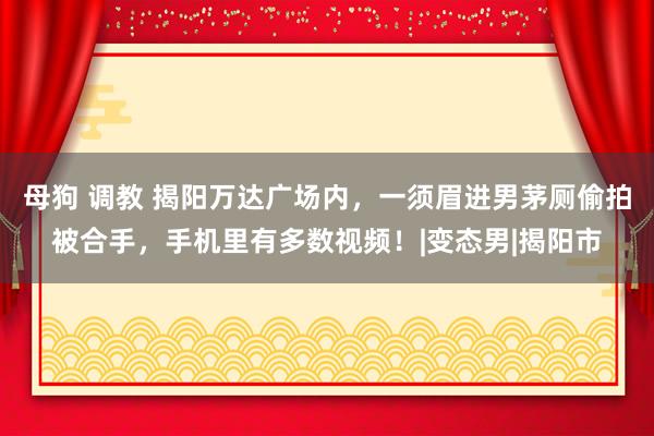 母狗 调教 揭阳万达广场内，一须眉进男茅厕偷拍被合手，手机里有多数视频！|变态男|揭阳市