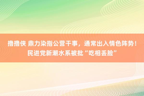 撸撸侠 鼎力染指公营干事，通常出入情色阵势！民进党新潮水系被批“吃相丢脸”