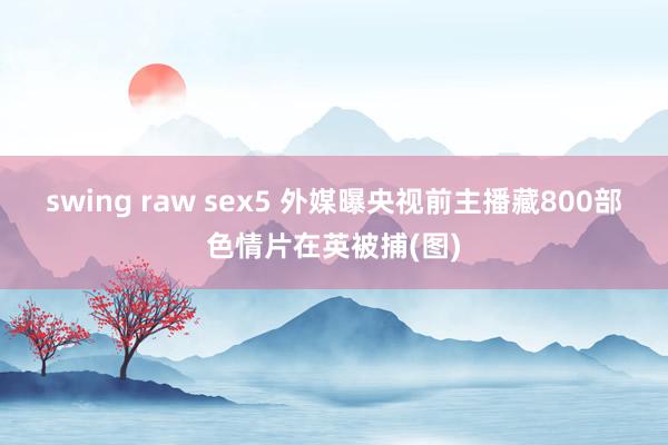 swing raw sex5 外媒曝央视前主播藏800部色情片在英被捕(图)