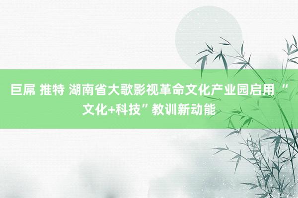 巨屌 推特 湖南省大歌影视革命文化产业园启用 “文化+科技”教训新动能