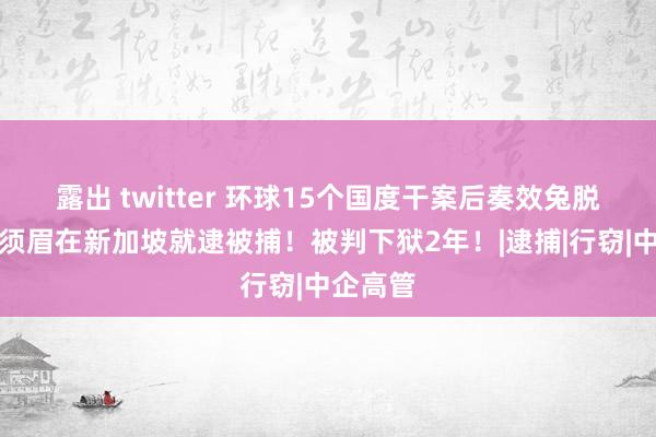 露出 twitter 环球15个国度干案后奏效兔脱，中国须眉在新加坡就逮被捕！被判下狱2年！|逮捕|行窃|中企高管