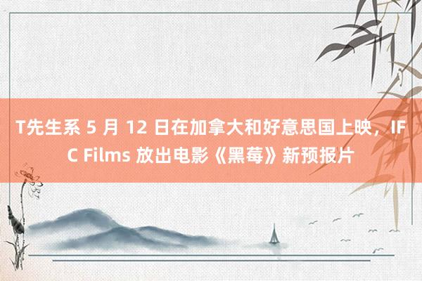 T先生系 5 月 12 日在加拿大和好意思国上映，IFC Films 放出电影《黑莓》新预报片