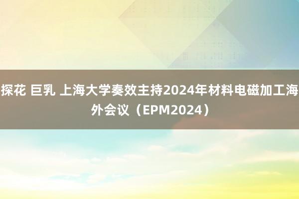 探花 巨乳 上海大学奏效主持2024年材料电磁加工海外会议（EPM2024）