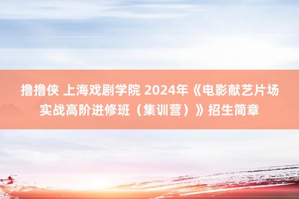 撸撸侠 上海戏剧学院 2024年《电影献艺片场实战高阶进修班（集训营）》招生简章