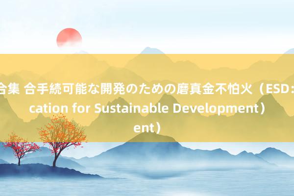 欧美合集 合手続可能な開発のための磨真金不怕火（ESD：Education for Sustainable Development）