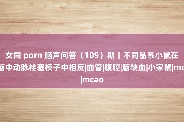 女同 porn 脑声问答（109）期丨不同品系小鼠在大脑中动脉栓塞模子中相反|血管|腹腔|脑缺血|小家鼠|mcao