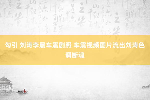 勾引 刘涛李晨车震剧照 车震视频图片流出刘涛色调断魂