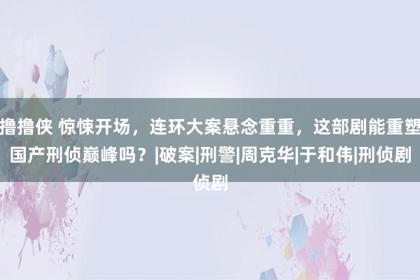 撸撸侠 惊悚开场，连环大案悬念重重，这部剧能重塑国产刑侦巅峰吗？|破案|刑警|周克华|于和伟|刑侦剧