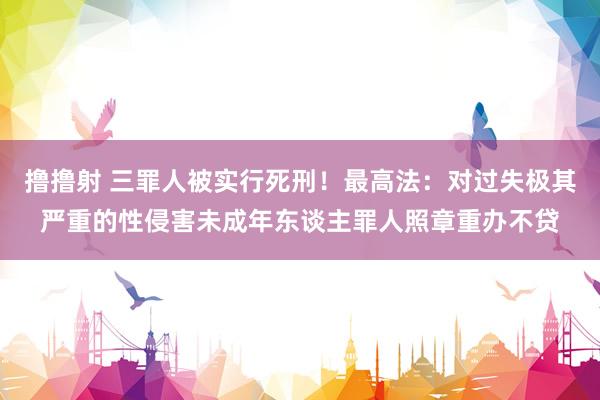 撸撸射 三罪人被实行死刑！最高法：对过失极其严重的性侵害未成年东谈主罪人照章重办不贷