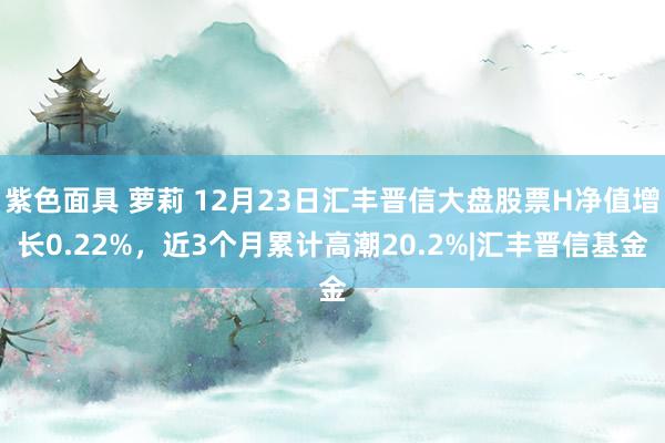 紫色面具 萝莉 12月23日汇丰晋信大盘股票H净值增长0.22%，近3个月累计高潮20.2%|汇丰晋信基金