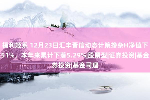 福利姬系 12月23日汇丰晋信动态计策搀杂H净值下落2.51%，本年来累计下落5.29%|股票型|证券投资|基金司理