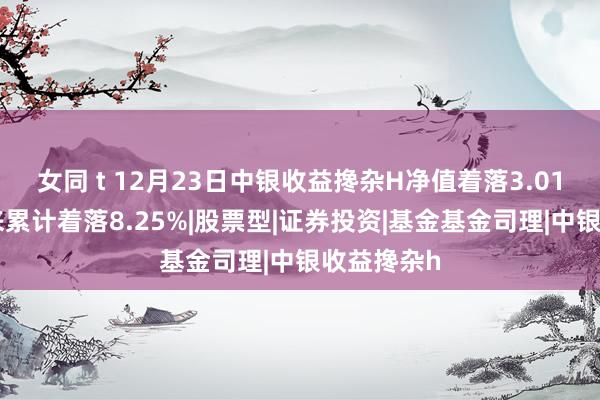 女同 t 12月23日中银收益搀杂H净值着落3.01%，本年来累计着落8.25%|股票型|证券投资|基金基金司理|中银收益搀杂h