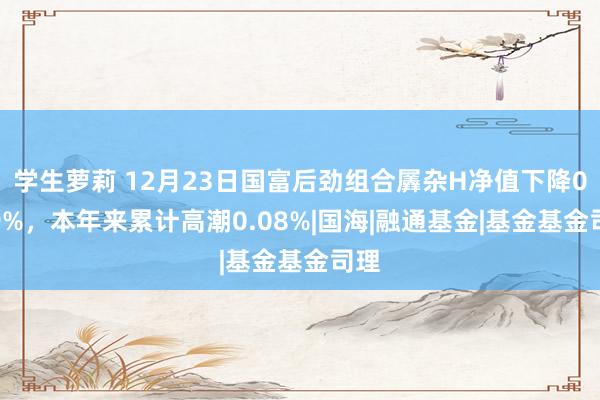 学生萝莉 12月23日国富后劲组合羼杂H净值下降0.89%，本年来累计高潮0.08%|国海|融通基金|基金基金司理